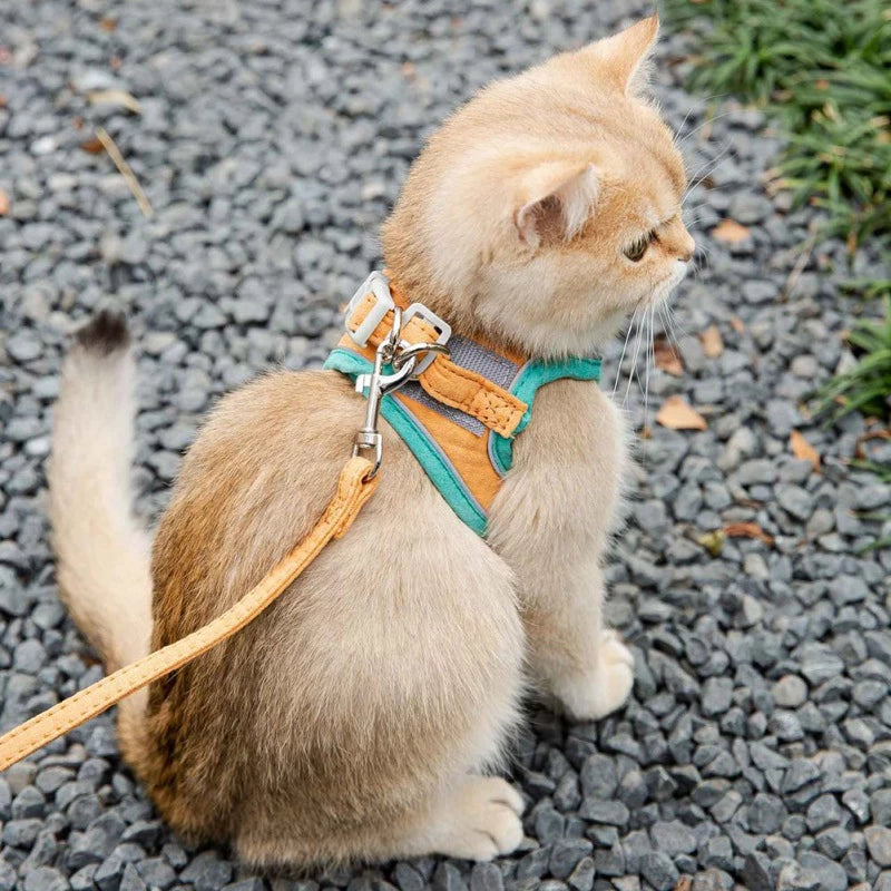 Adjustable Cat Harness With Leash Set Reflective Vest Pet Harnesses